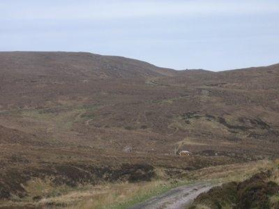 Cape Wrath landscape with 