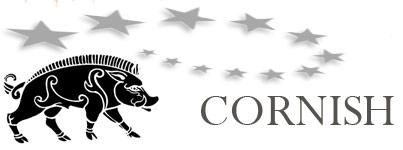 Cornish Fighting Fund banner