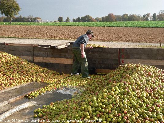 Lavage des pommes. Cidrerie Coat Albret (Bédée).