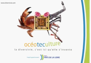 Exemple de la publicité Diversivie déclinée en grandes affiches cartes postales et autocollants.