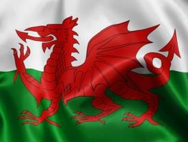 The Welsh language was heard for the first time in an official capacity at an EU institutional meeting.