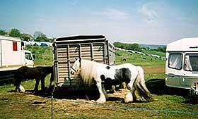 Gypsies and Irish Travellers have lived in the UK for centuries.