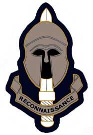 Special Reconnaissance Regiment (SRR) cap badge (above)