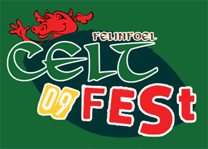 CeltFest cancelled its planned event to coincide with the Wales V's Argentina international rugby match.