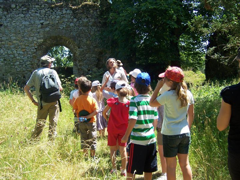 Dans la chapelle du château de Pierre de Dreux.