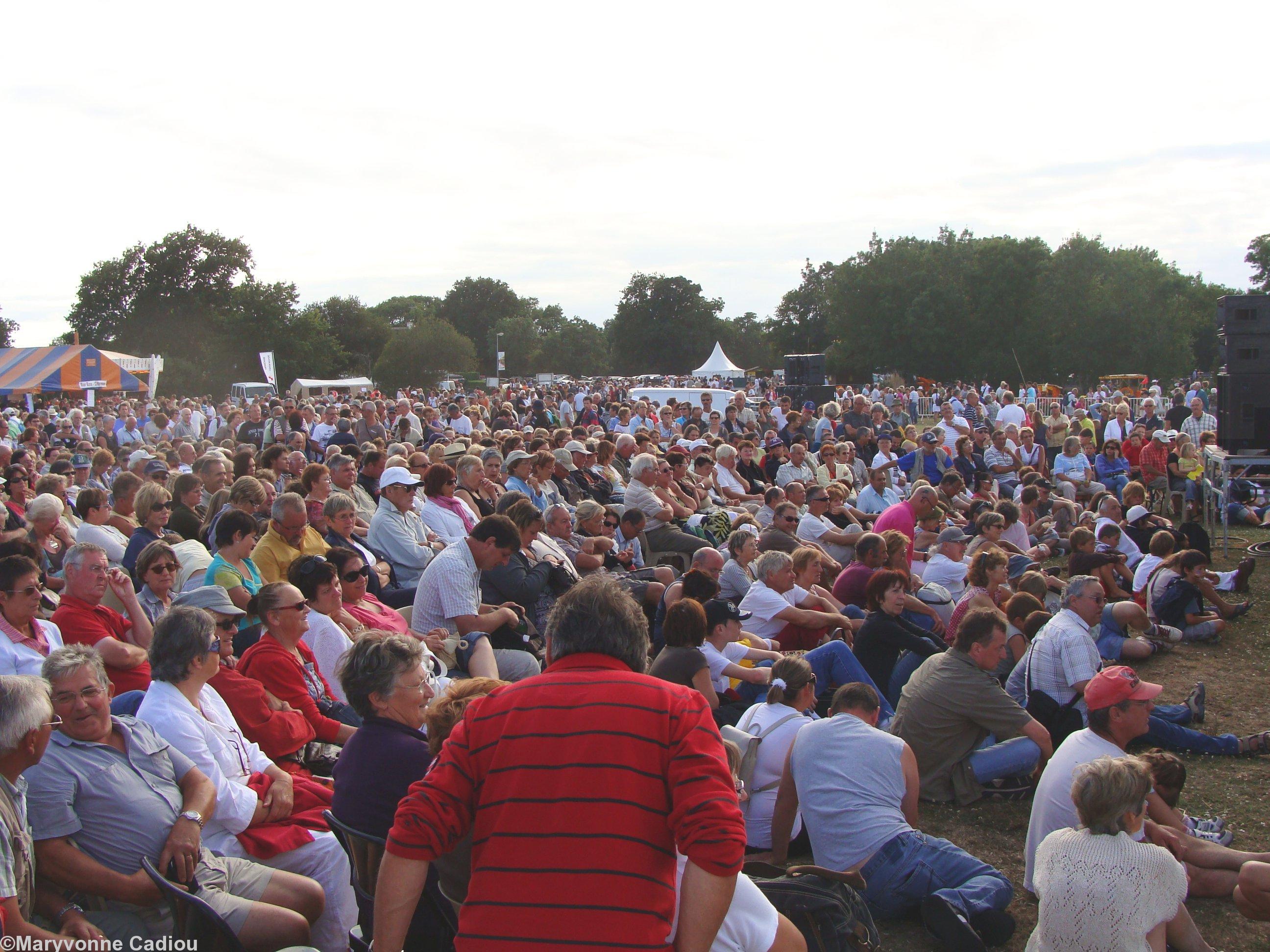 Concert de Gilles Servat en Brière le 1er août 2010. Une partie du public.