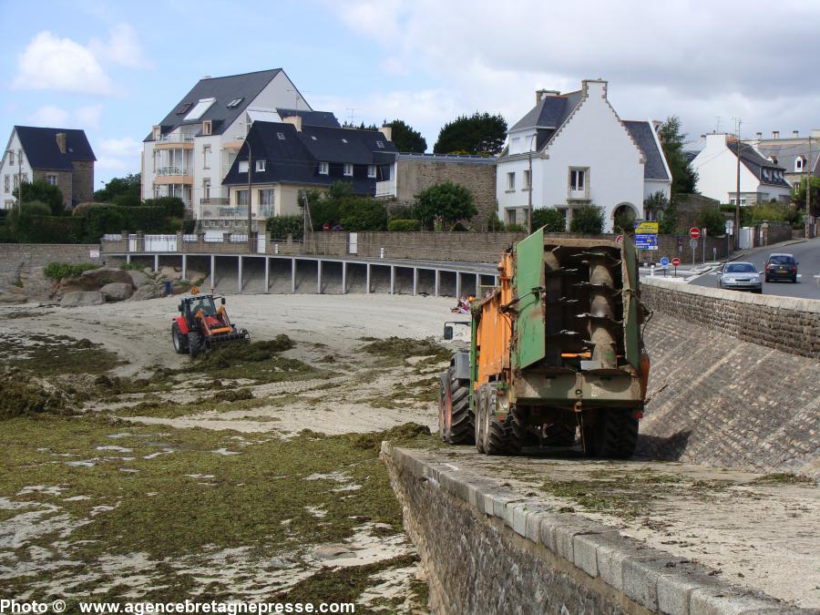 Concarneau juillet 2010.