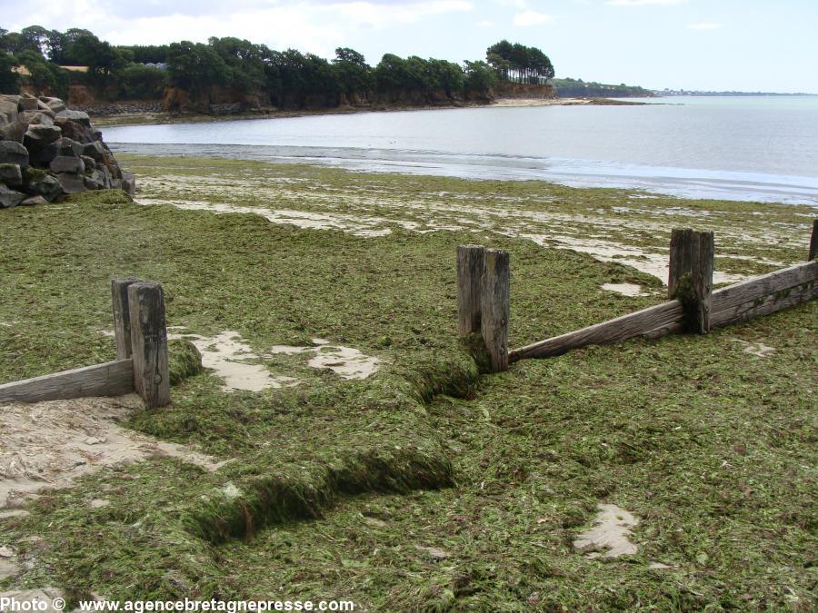 Kerlevin en baie de la Forêt-Fouesnant.