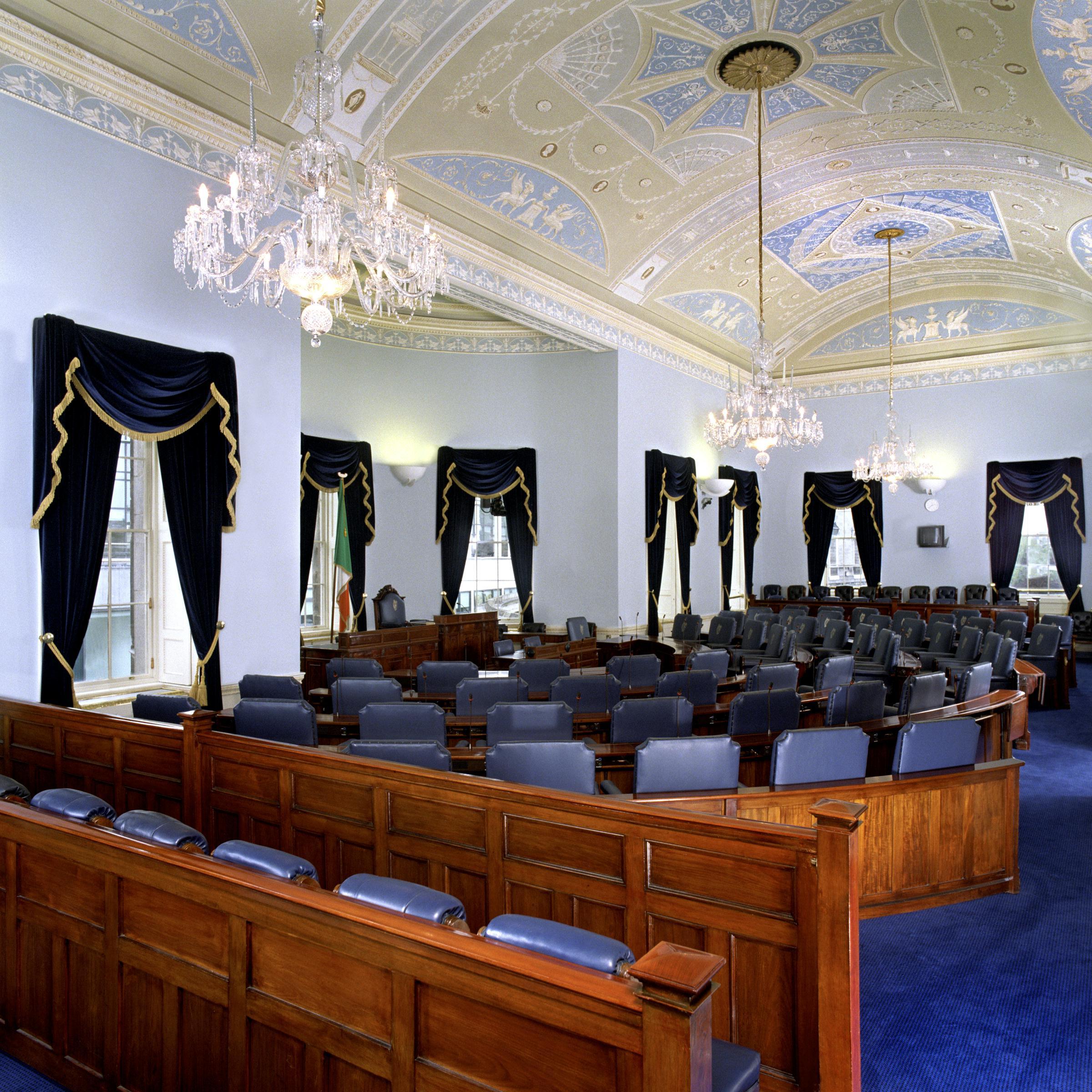 The Seanad (above)