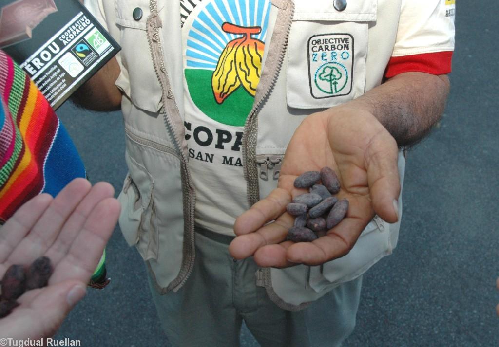 Une fierté retrouvée : les producteurs péruviens ont abandonné la production de coca pour se consacrer à la culture du cacao.