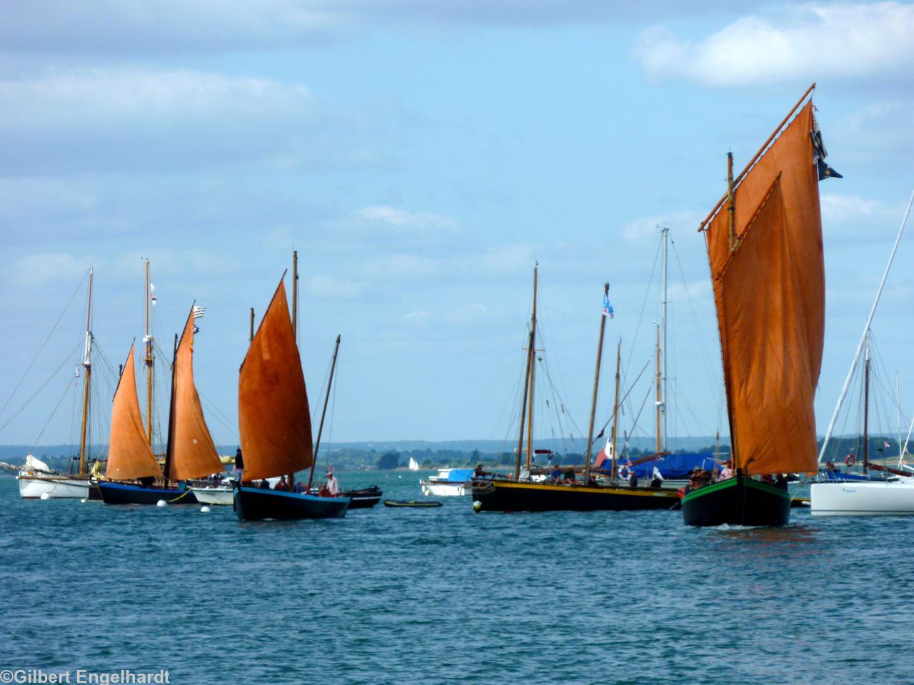 Pas moins de 5 sinagos sur cette photo.<i>“C'est celle-ci qui est la meilleure ! Mouvement sous voile  au largue. Ça bouge !”</i> (Le photographe).