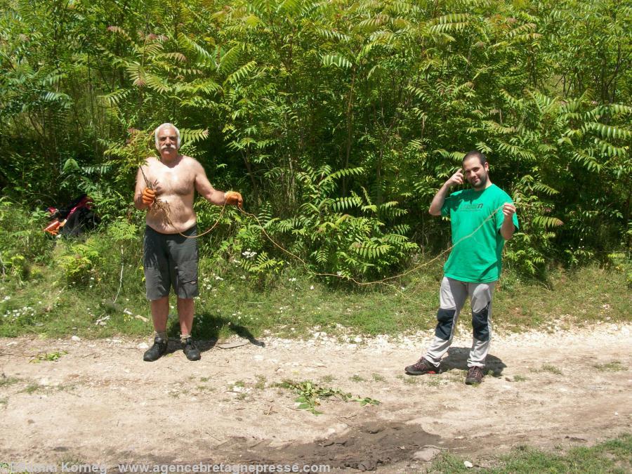 Miroslav Demajo from Belgrade and Mikel from Bask country are showing a root from the tree of heaven.