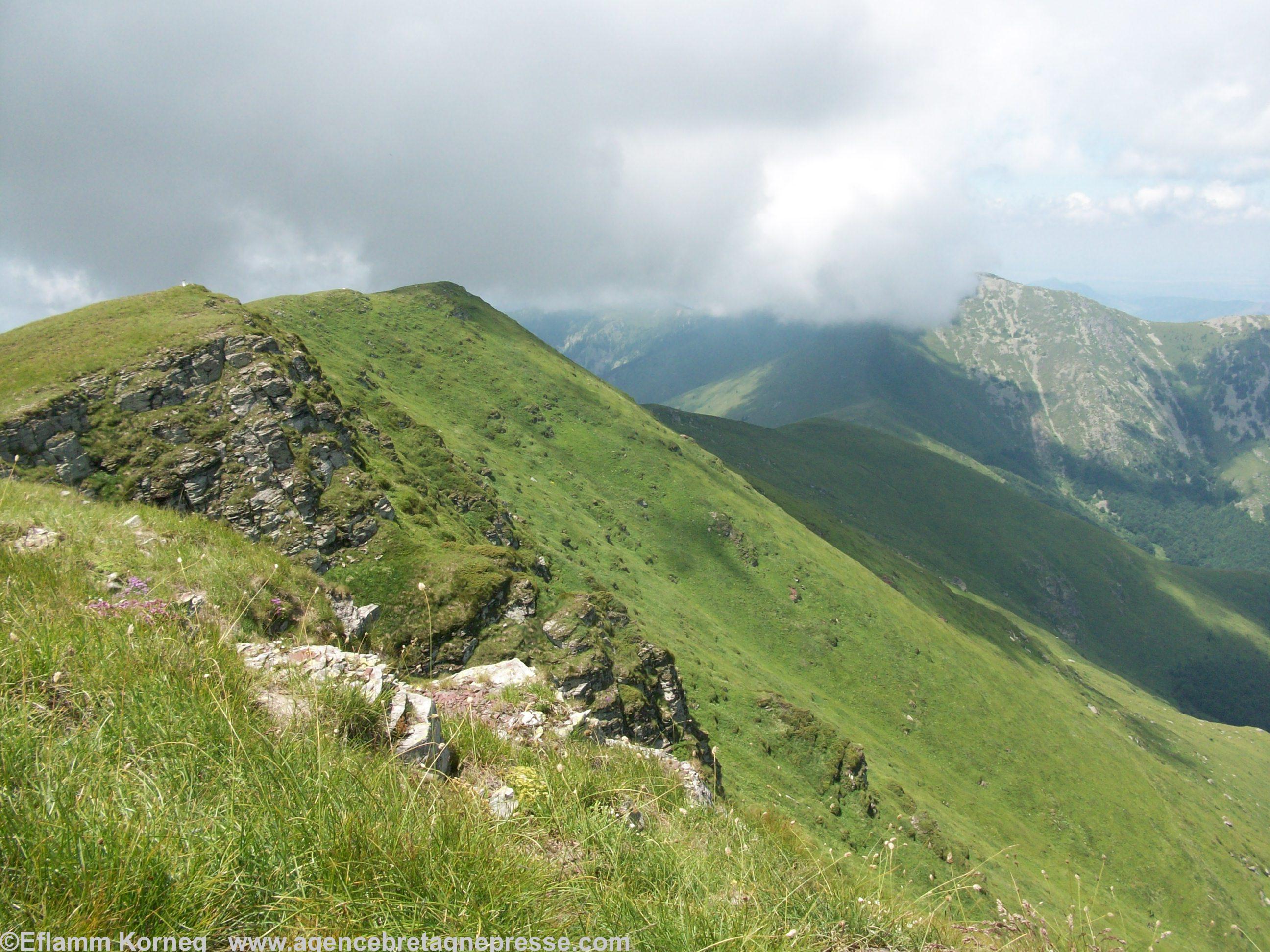 Wild nature in Stara Planina