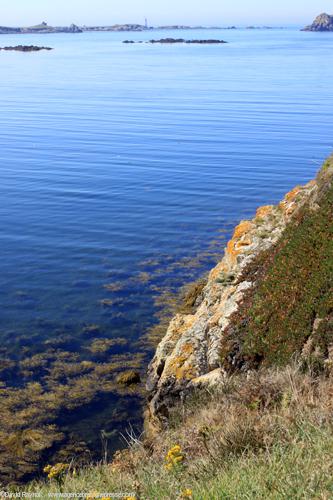 Paysage d'été en baie de Lampaul.