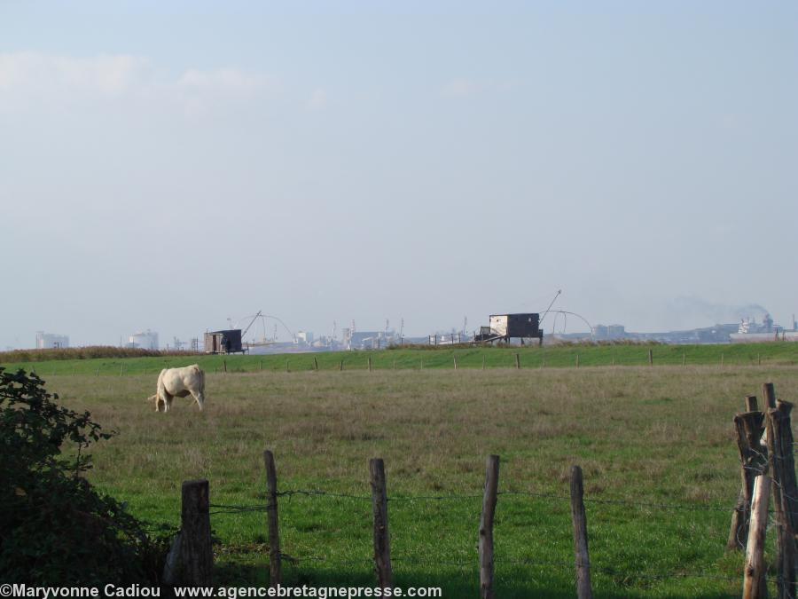 Corsept sur la rive sud de l’estuaire de la Loire en face de la raffinerie de Donges.