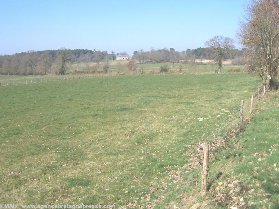 Le champ de la bataille du 28 juillet 1488  vue nord-ouest.