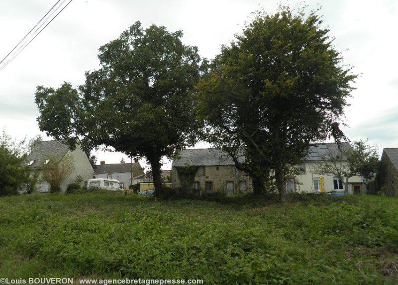 L'alignement de maisons au nord du hameau de Peslan