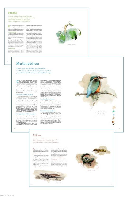 Dictionnaire de la Nature en Bretagne par François de Beaulieu et Sandra Lefrançois. Morlaix. Skol Vreizh. octobre 2011. Aperçu de pages intérieures.