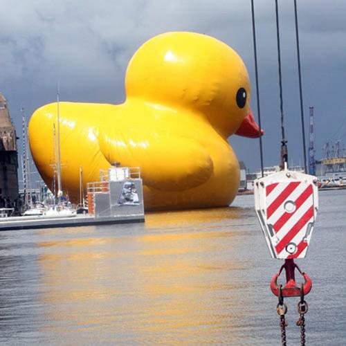 Le canard gonflé qui se dégonfle - symbole de la gabegie pour la première édition de la biennale d'art contemporain Estuaire.