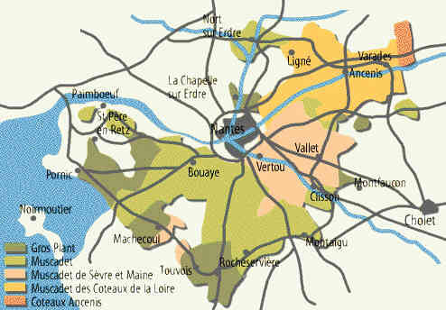 Carte des vins du pays Nantais