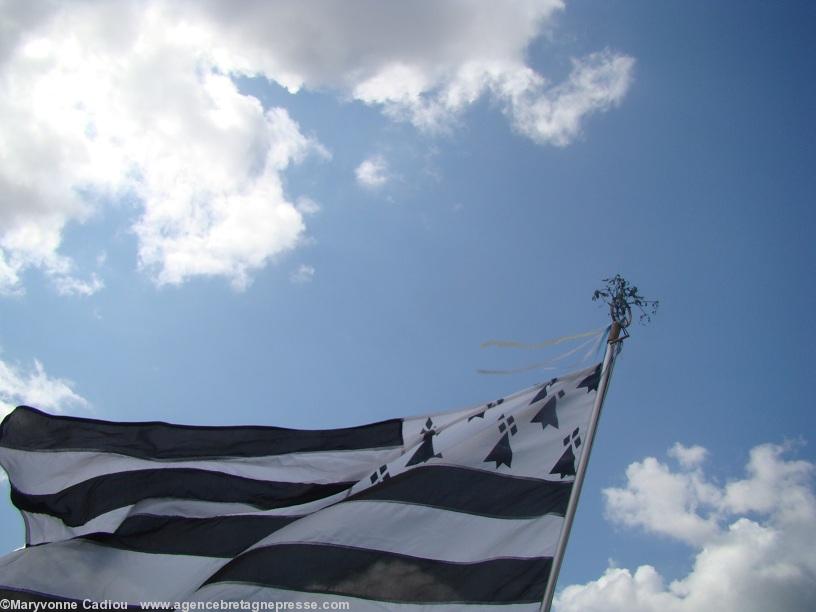 Gorsedd Digor. Arzano le 15 juillet 2012. Du gui jusqu’en haut de la hampe du drapeau breton !