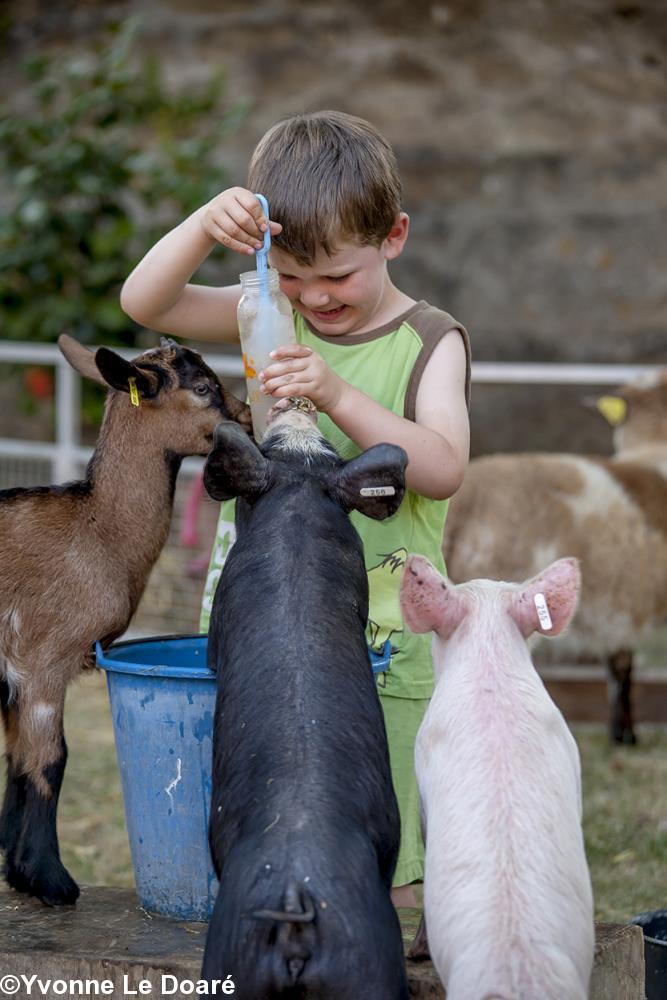 Les travaux de la ferme