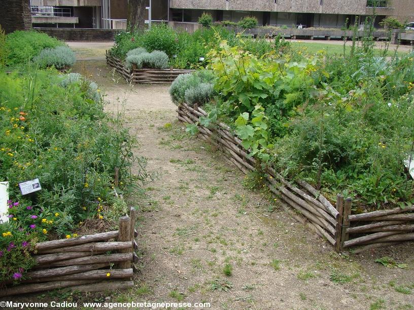 Musée Dobrée. Jardins médiévaux.