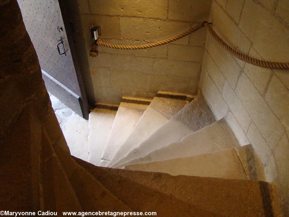 L'escalier de la Tour du Fer à cheval au château des ducs de Bretagne. Tuffeau et granit. Colloque Construction navale Nantes 20-21 septembre 2012.