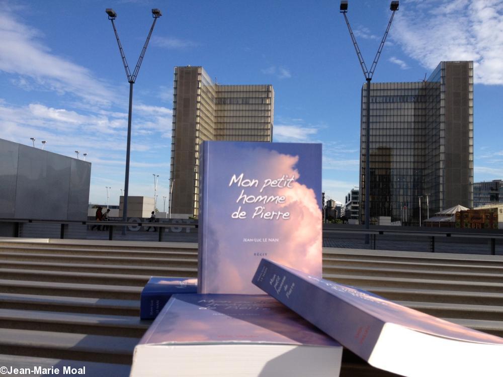 Devant la Bibliothèque Nationale de France à 16 h 58 pour la remise des prix Handi-Livres 2012 les livres “Mon petit homme de Pierre” sur les marches en bois exotique. (De Jean-Luc Le Nan - éditions Skol Vreizh Morlaix 2012).