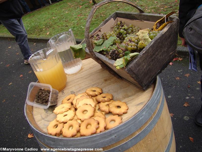 Terre ; Bourru ; Eau ; Raisin (et sécateur) et... Petits Mouzillons. Sur le tonneau totem.