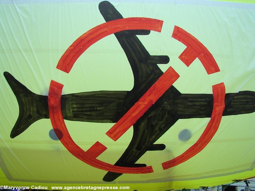 Notre-Dame des Landes 17 nov. 2012. Gros plan sur le dirigeable de Greenpeace.