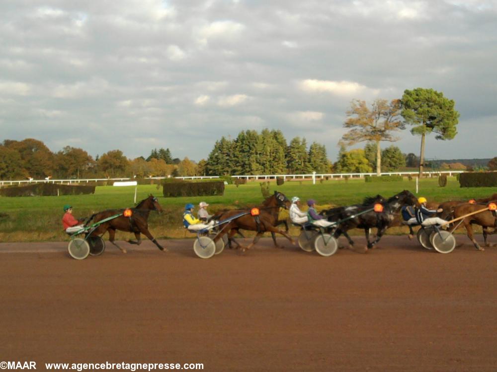 Chevaux en course