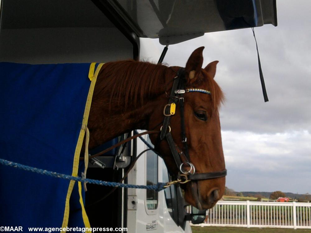 Umbre d'or attend toujours sa course