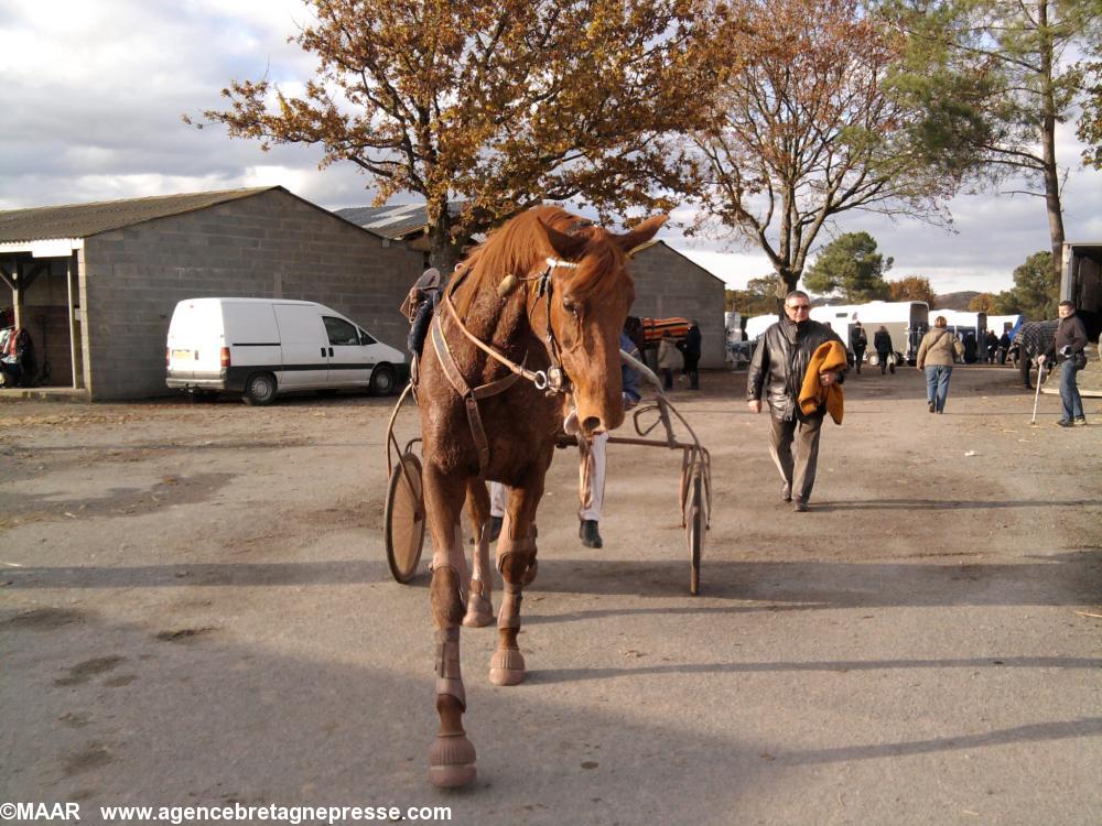 Retour de course pour Umbre d'or