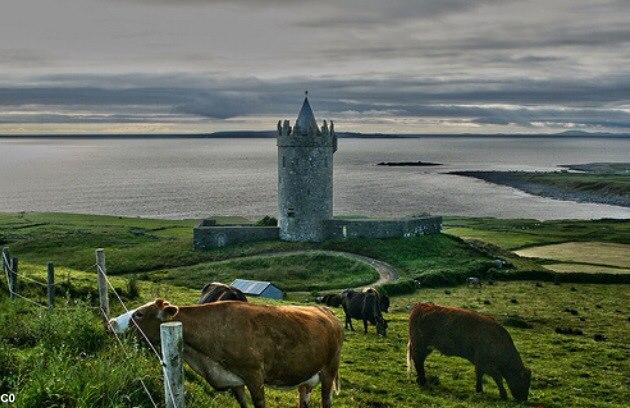 Une passion pour l'Irlande