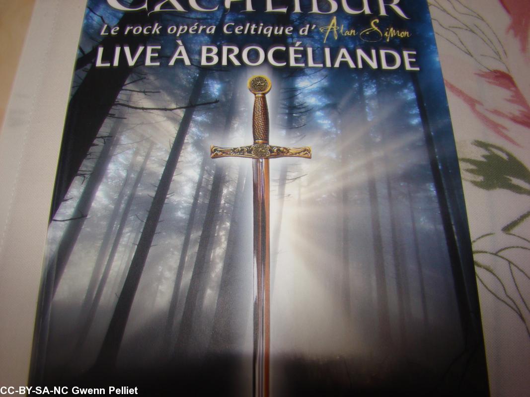 DVD EXCALIBUR live in Brocéliande (spectacle du 14 
juillet 2012 en forêt de Paimpont)