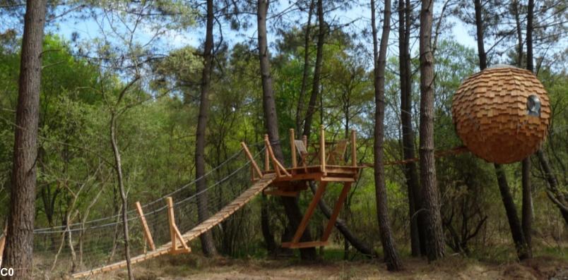 Chez Dihan, la nature est au cœur de l'offre d'hébergement insolite...