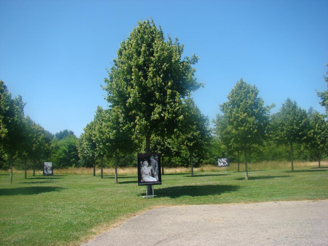 Le parc du manoir de Kernault