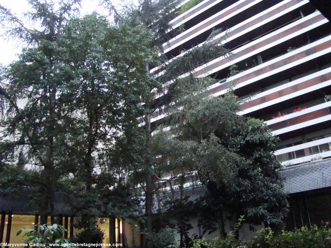 Centre Sèvres de Paris. Végétation préservée et havre de silence dans la cour intérieure.