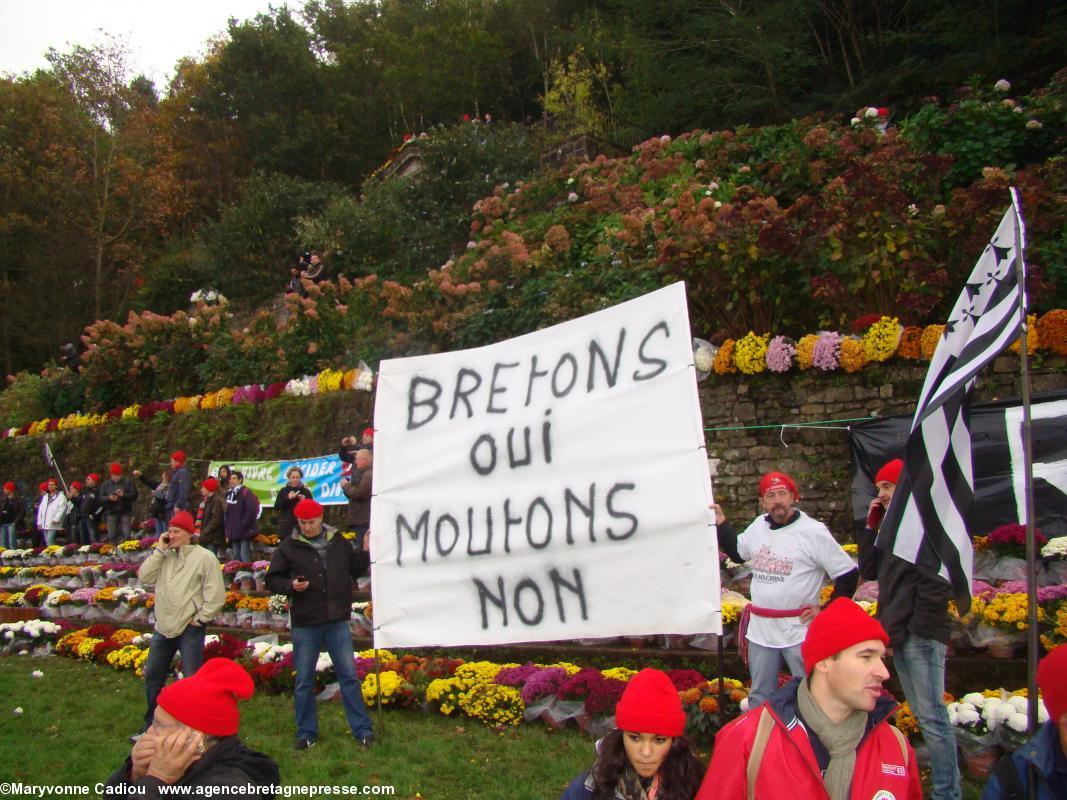 14 h 46. Panneaux et banderoles divers. En bas du mont Frugy. Bonnets Rouges Quimper 2 nov. 2013.