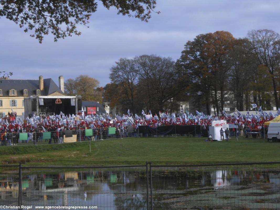 Sur la peluse du château de Kerampuilh, à Carhaix. 30/11/13.