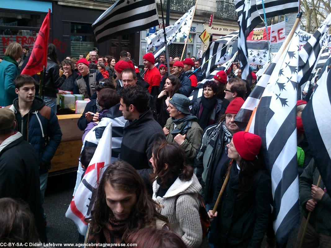 Les Bonnets rouges se regroupes pour être remarqués. Manifestation anti-aéroport à Nantes le 22 février 2014.