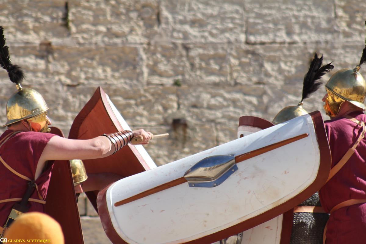 Combats de <i>Gladius Scutumque®</i> aux jardins du musée Dobrée.