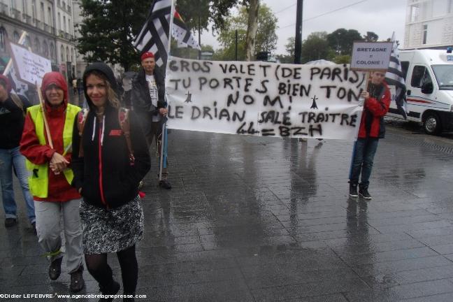 Nantes - manifestation pour la réunification - 28 juin 2014.