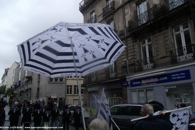 Nantes - manifestation pour la réunification - 28 juin 2014. Un parasol ou un parapluie ?