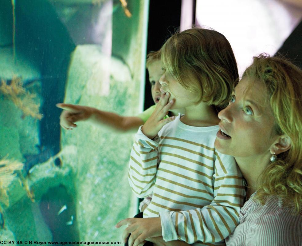 Fillette et sa mère devant un bac de poissons à l'aquarium marin de Trégastel