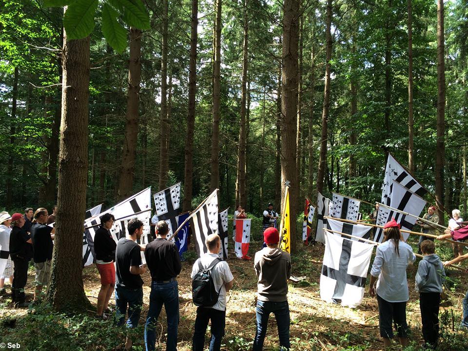 Le 1er aout 2015, dans la forêt de Trans, entre le camp viking et le camp breton!