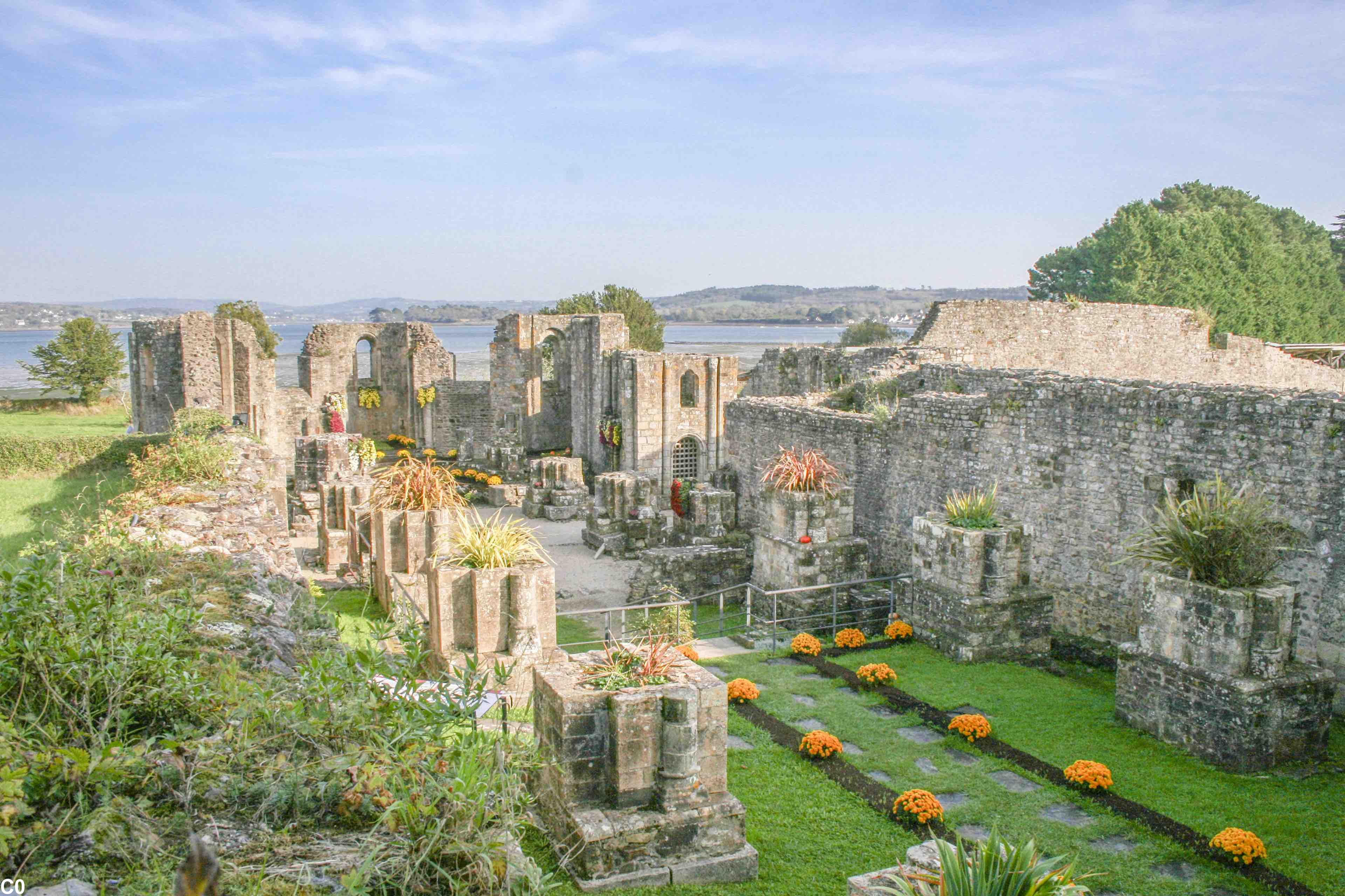 Fleurissement des ruines de l'ancienne abbaye de Landévennec.