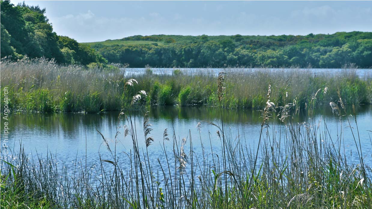 Etang de Trunvel