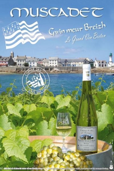 Le Muscadet, vin breton